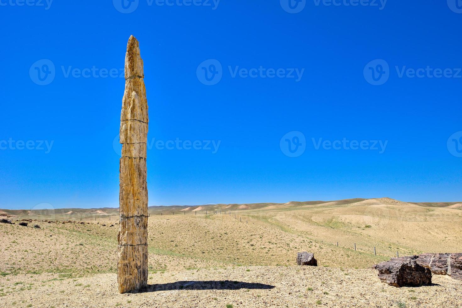 silicifierad trä från de jungar handfat i xinjiang, också känd som trä fossiler foto