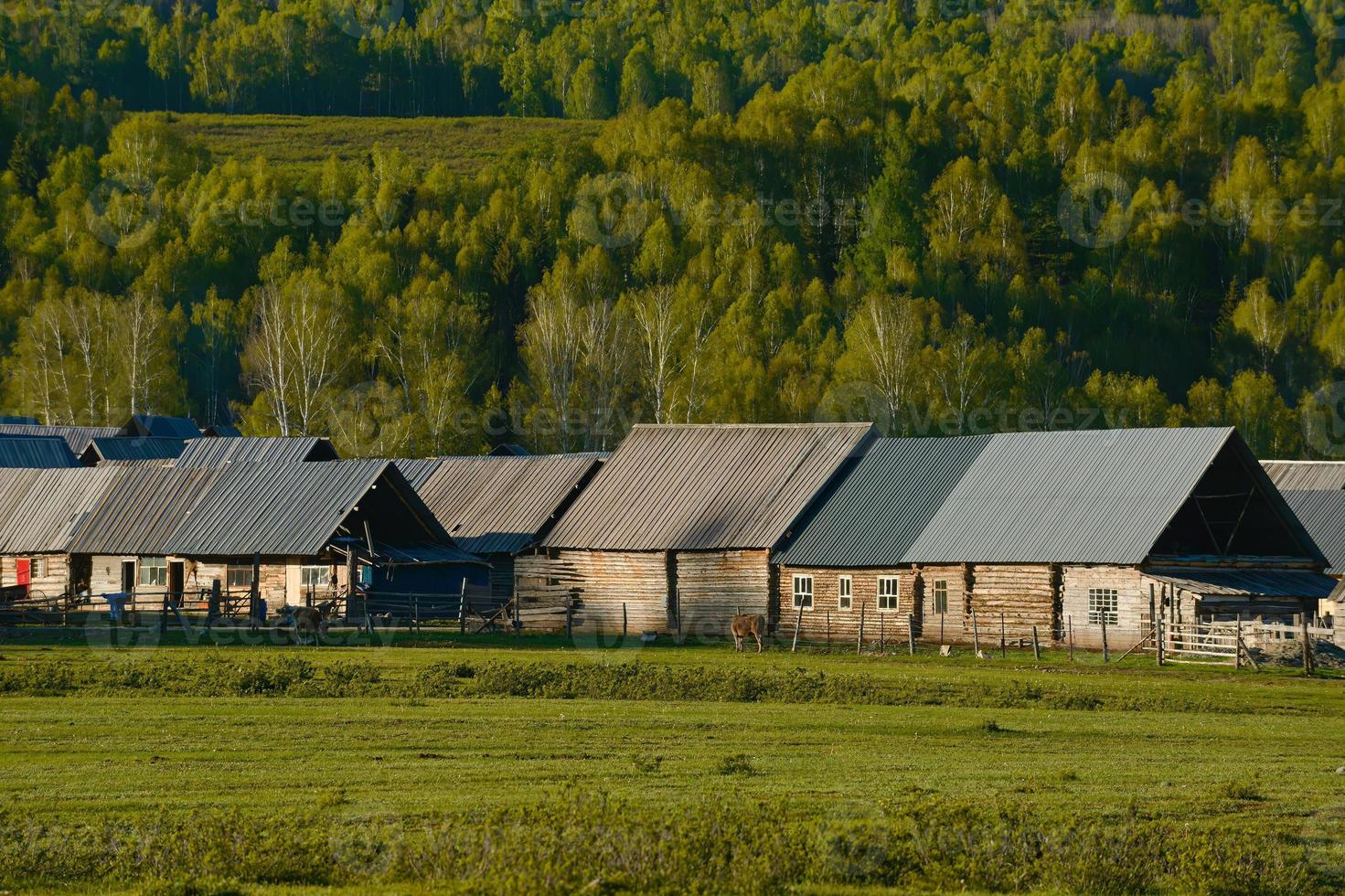 hemu by i xinjiang är tycka om en sagoland, de traditionell och enkel trä- hus är fredlig och isolerat från de värld foto