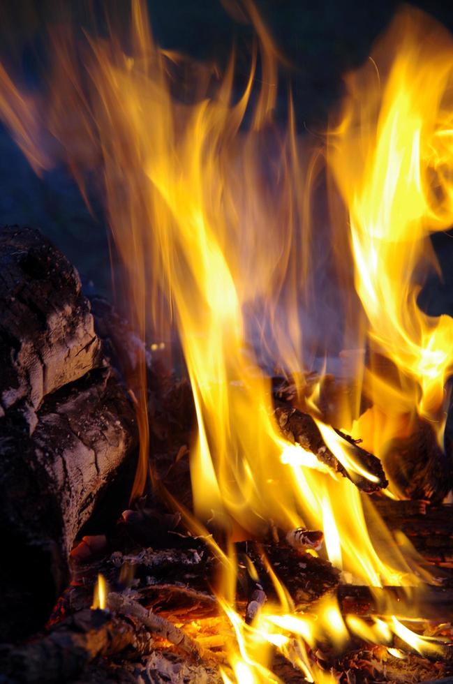 utomhus- bål brinnande loggar foto