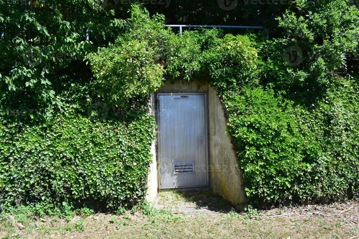 dörr till en byggnad Nedan de skog foto