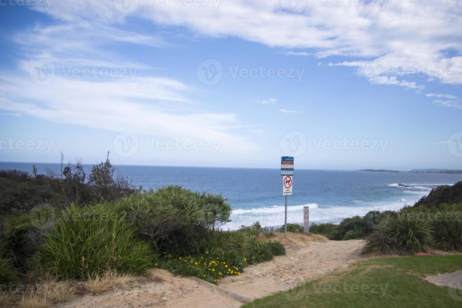 australisk strand nära sydney foto