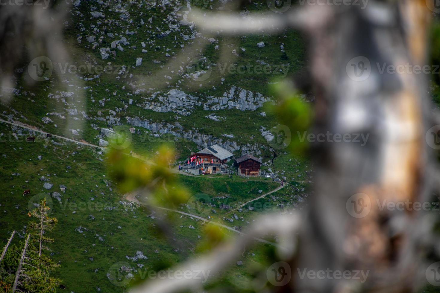 en berg värdshus fotograferad genom grenar foto