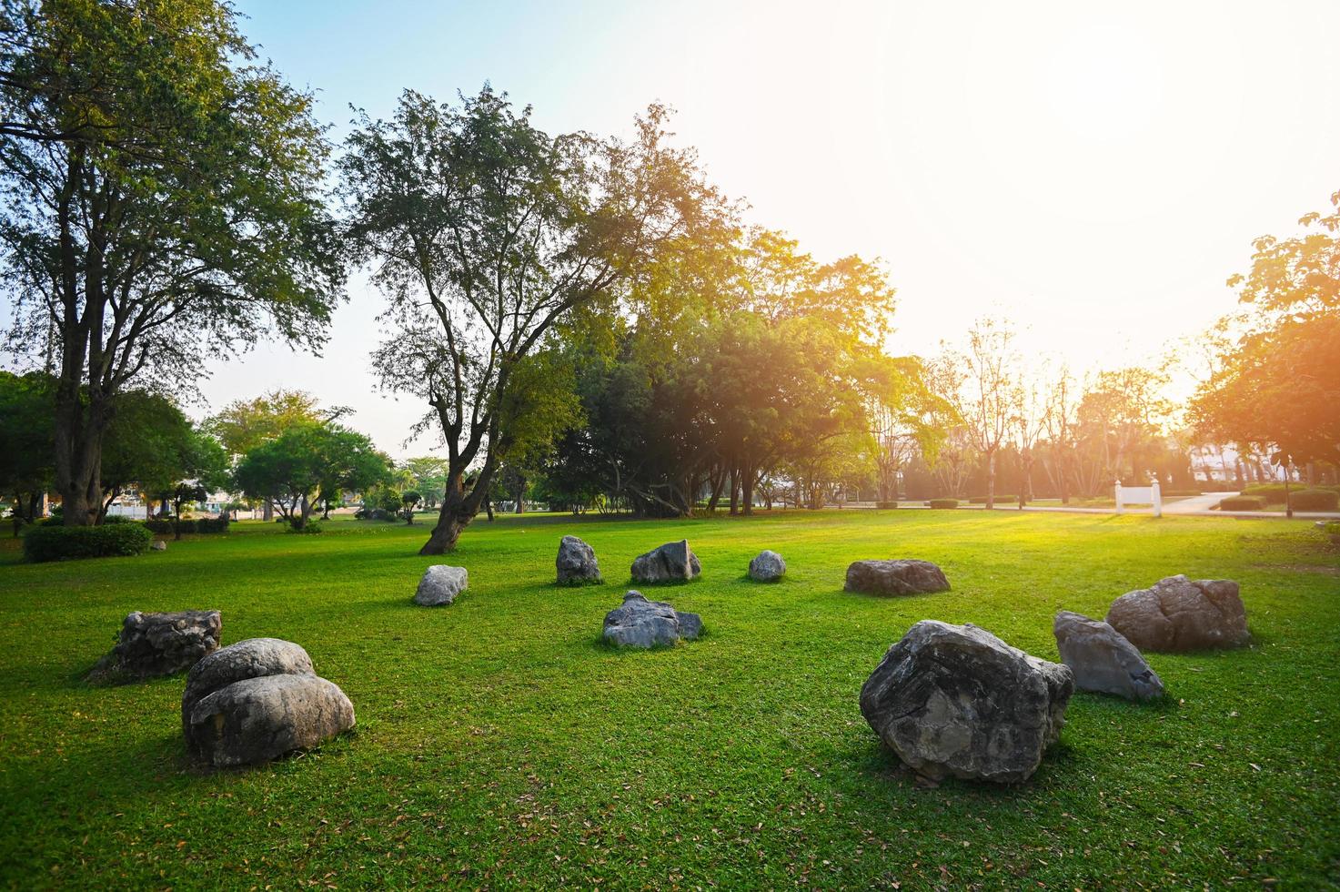 sten sten gräs på de fält soluppgång eller solnedgång landskap i de sommar tid , naturlig grön gräs fält i soluppgång i de parkera med träd solsken på de gräs grön miljö offentlig parkera naturlig foto