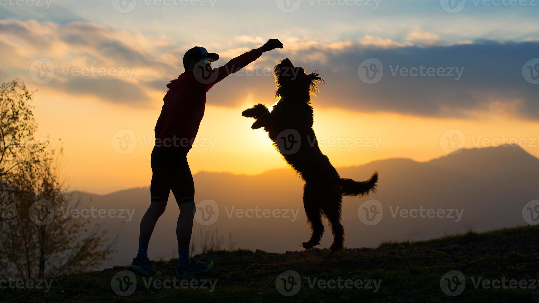 stor hund på två tassar för att ta en kex från en man, silhuett med bakgrund vid färgglad solnedgång foto