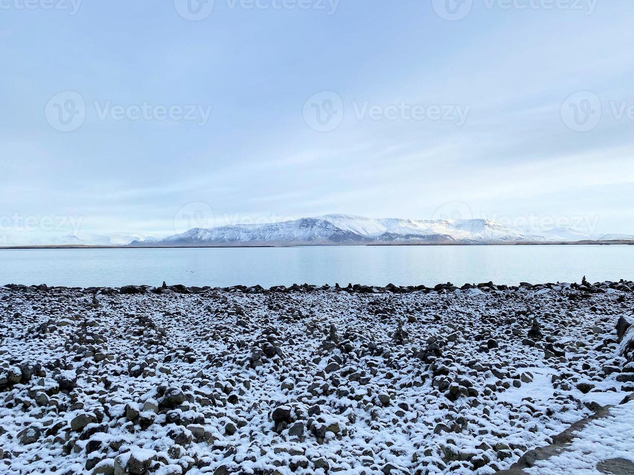 en se av de sjöfrukt på reykjavik i island i de vinter- foto