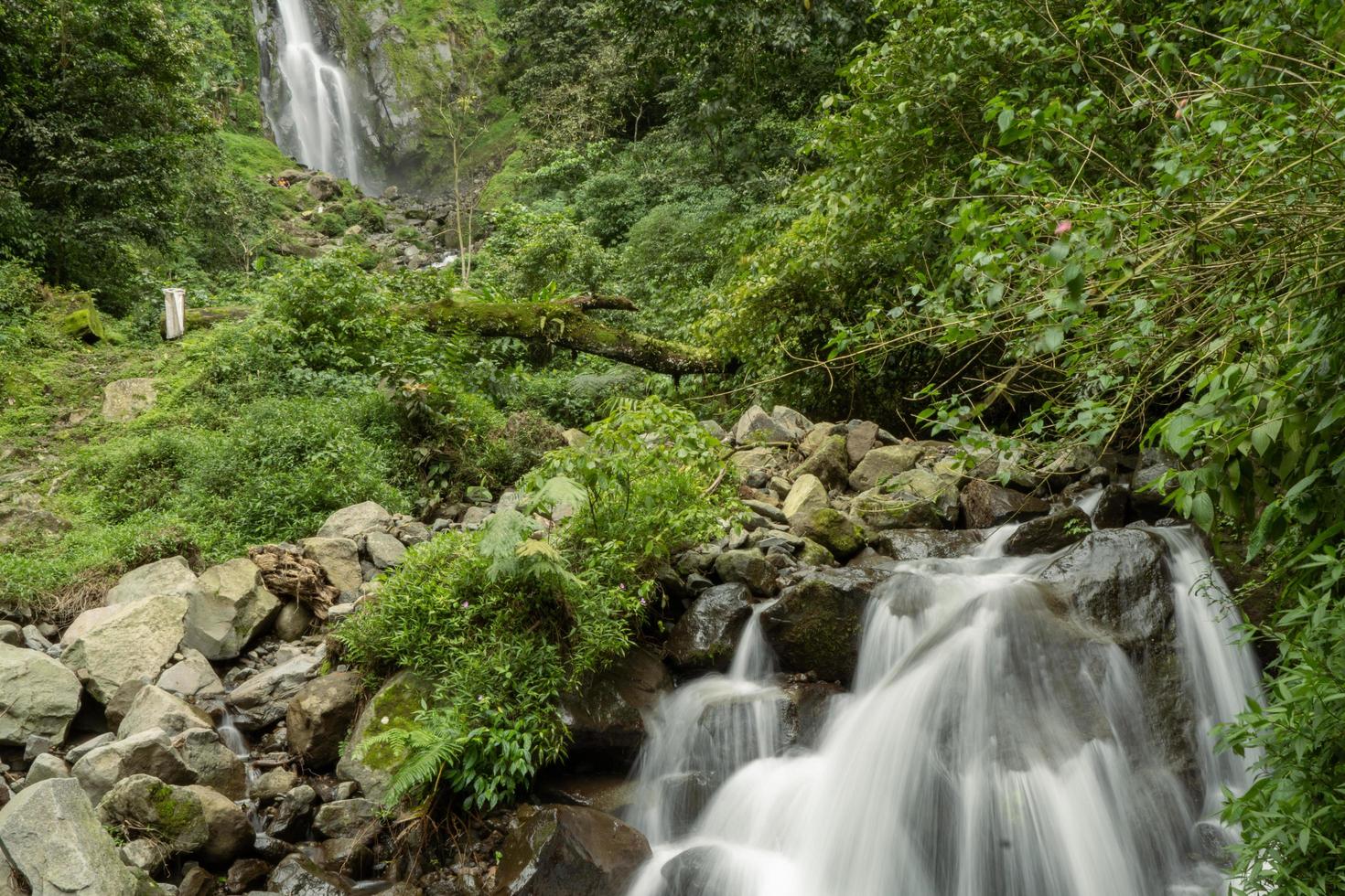 landskap av enda vatten falla på de tropisk skog. de Foto är lämplig till använda sig av för äventyr innehåll media, natur affisch och skog bakgrund.