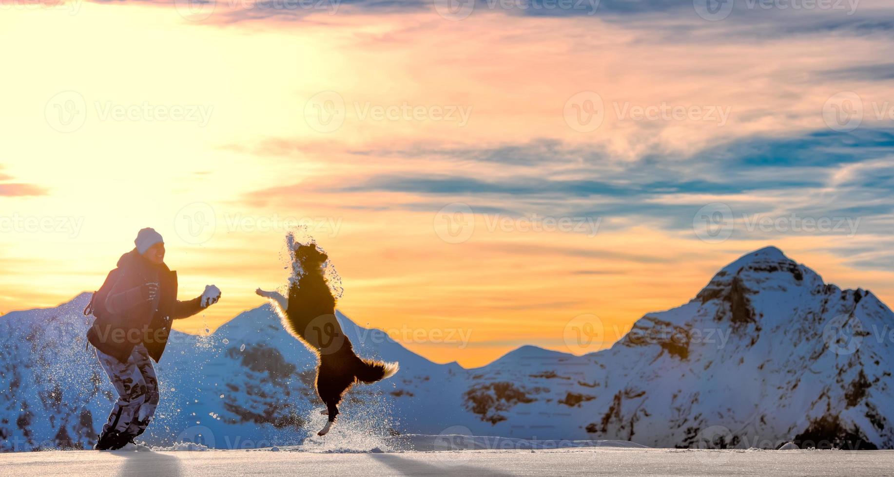 flicka leker med border collie i snön foto