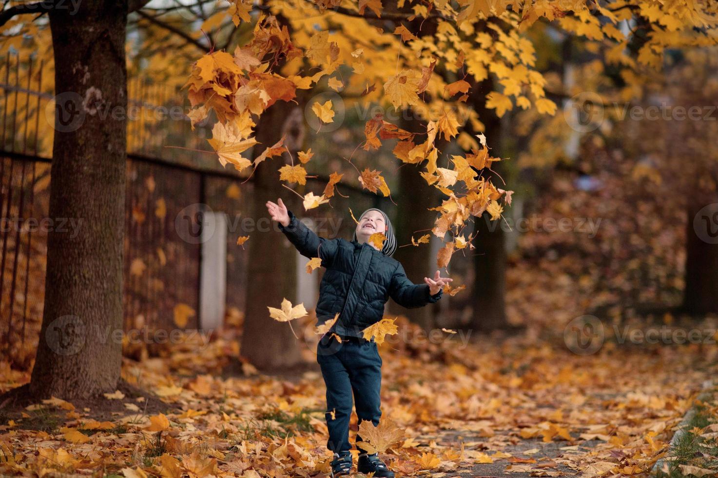 en pojke i de höst skog kastar löv och gläds foto