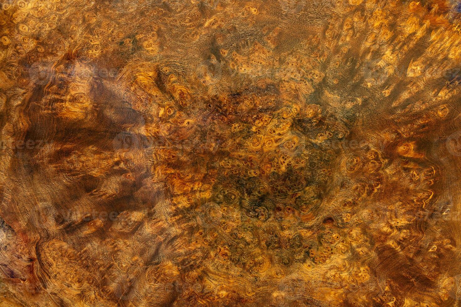 afzelia burl randig trä textur bakgrund foto
