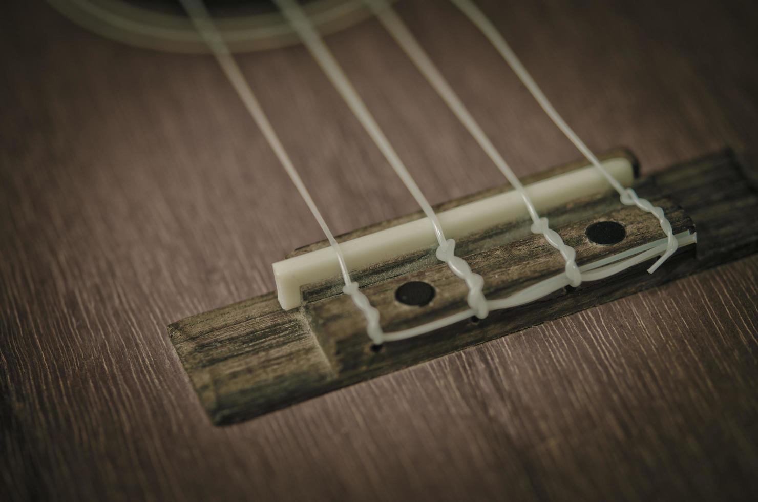 ukulele sträng närbild foto