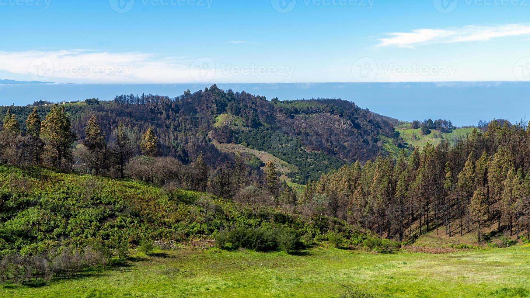 bergen på Gran Canaria Island foto