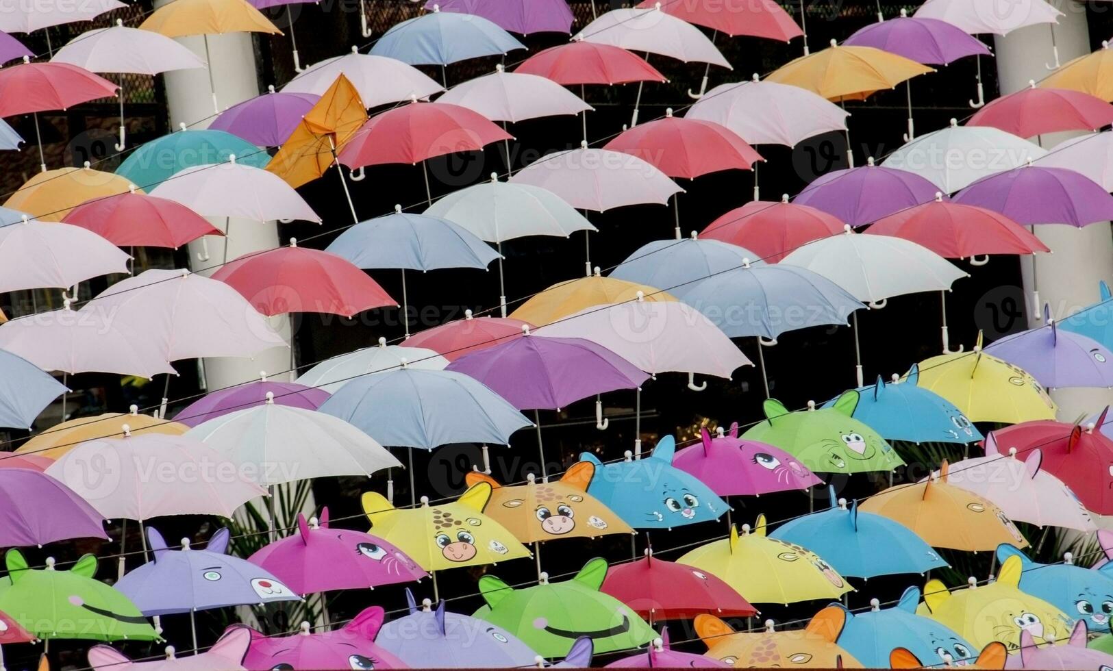 fullt utbud av vackra färgglada paraplyer foto
