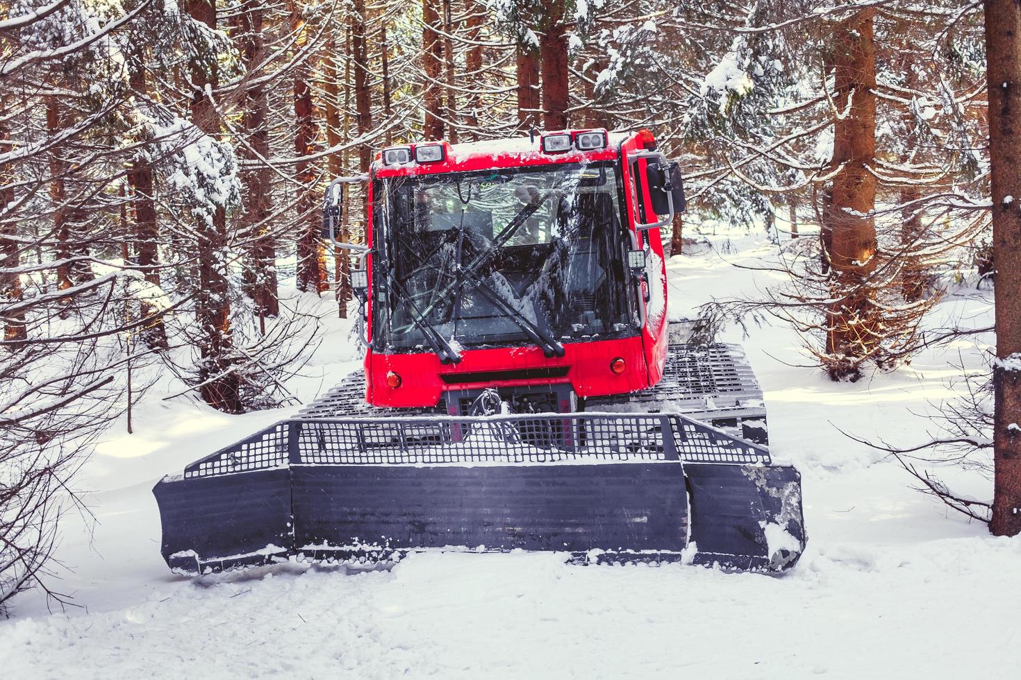 snöskoter för att justera spåren för längdskidåkare i vinterskogen foto