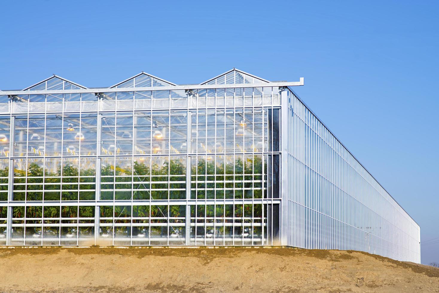 front- och sidovy av industriellt växthus för tomater foto