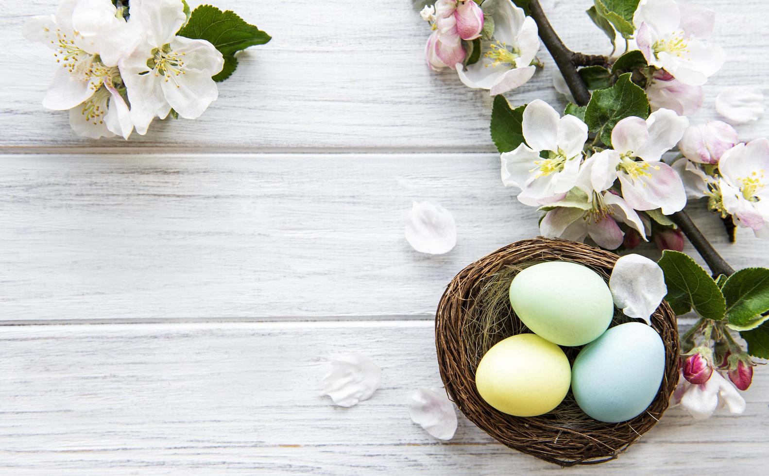 färgglada påskägg med vårblomningblommor foto