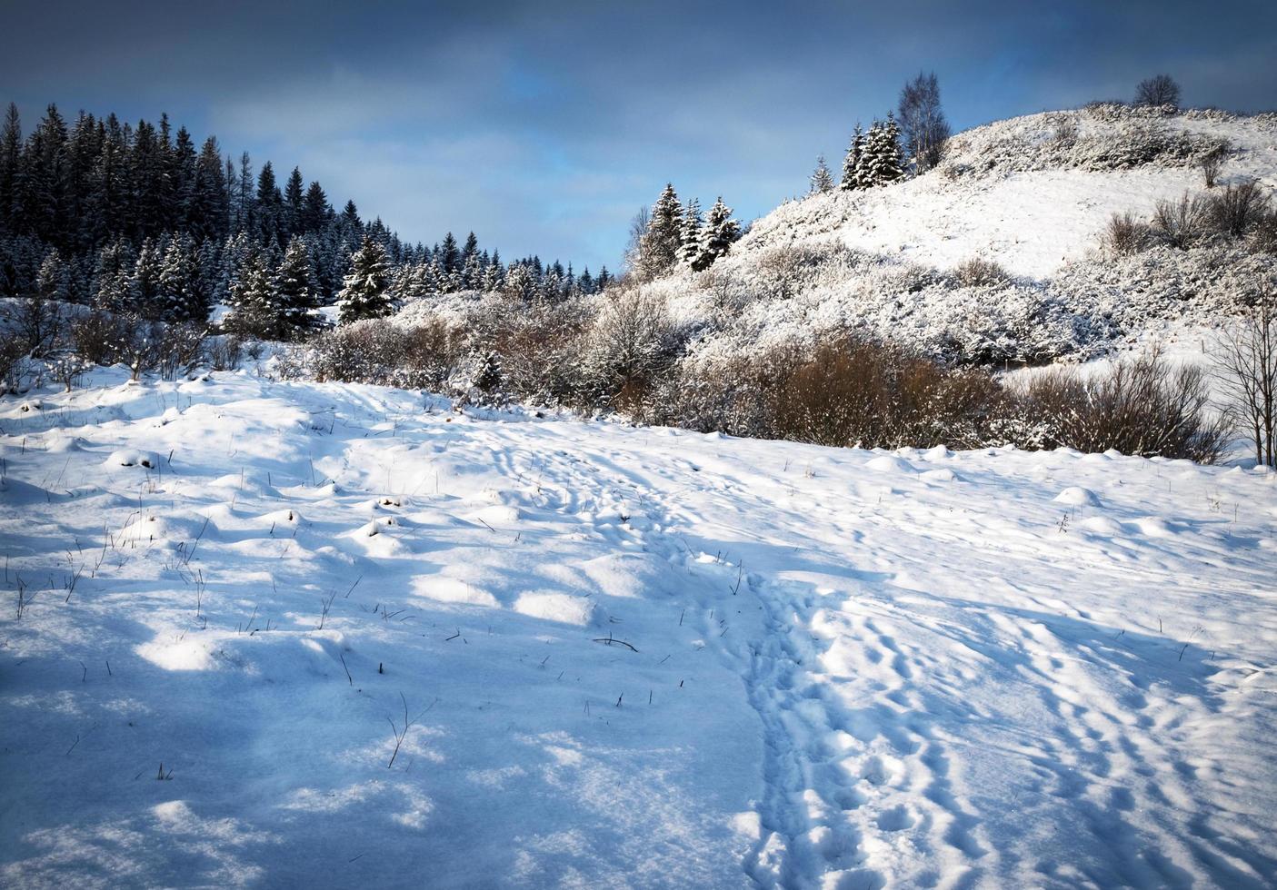 snöigt landskap med kullar foto