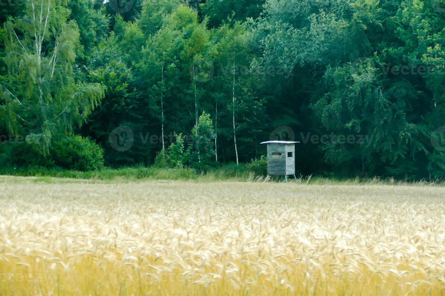 naturskön lantlig landskap foto