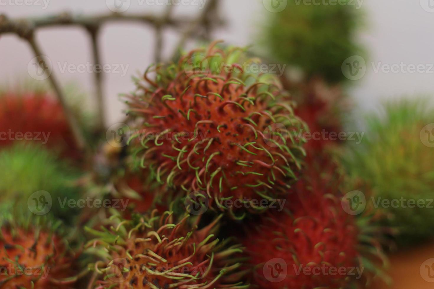 rambutan frukt som är rödaktig grön i Färg har ljuv smak isolerat på tabell. mat begrepp Foto. foto