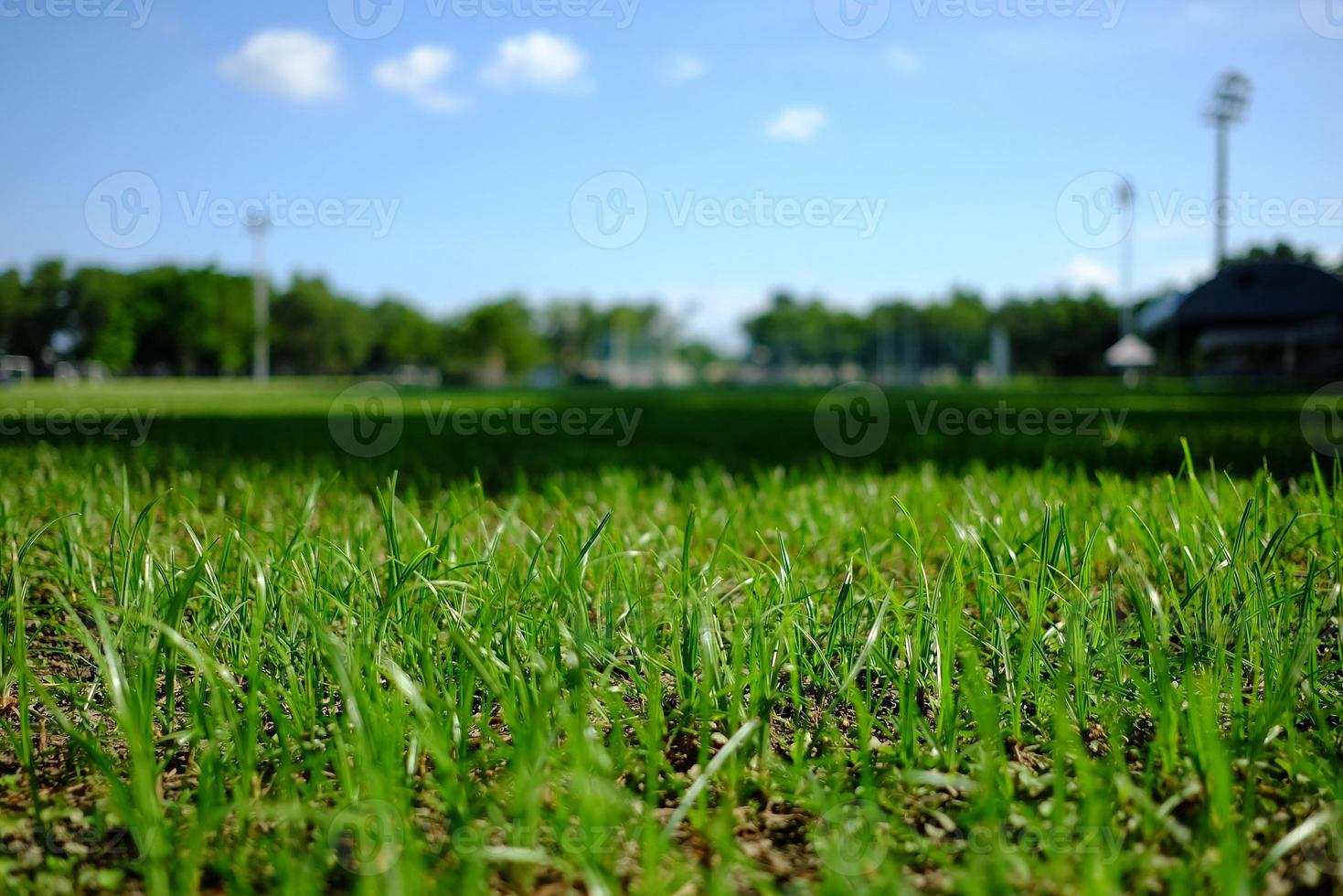 stänga upp gräs av fotboll fält bakgrund. foto