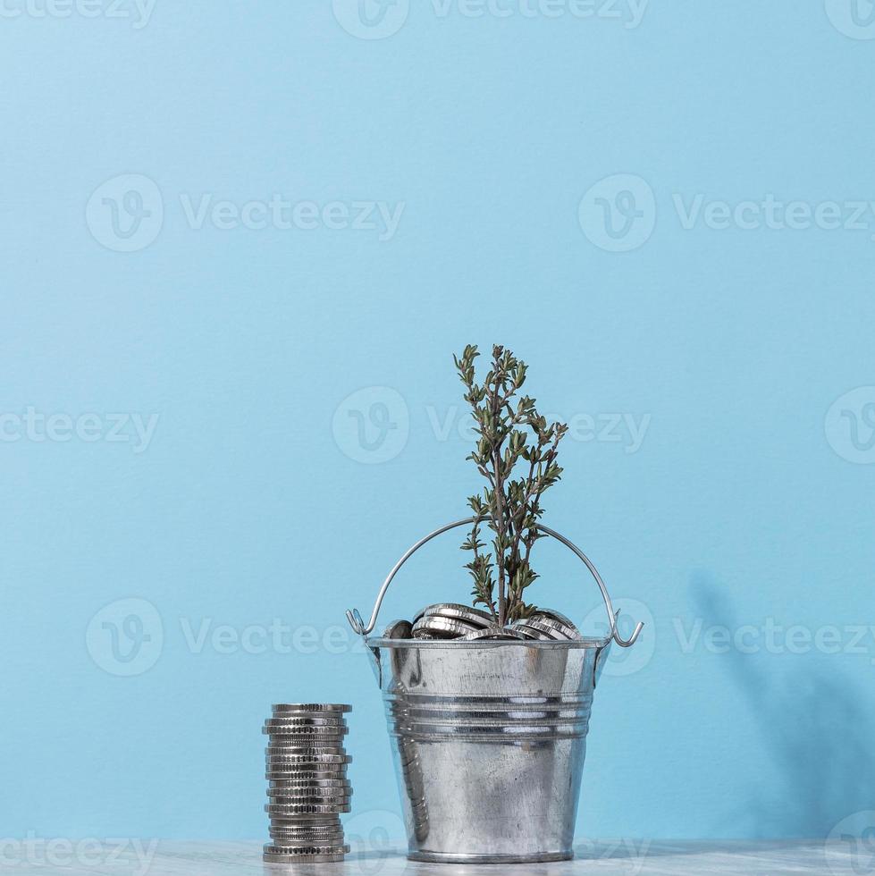 mynt i en små hink och en växt, inkomst tillväxt begrepp foto