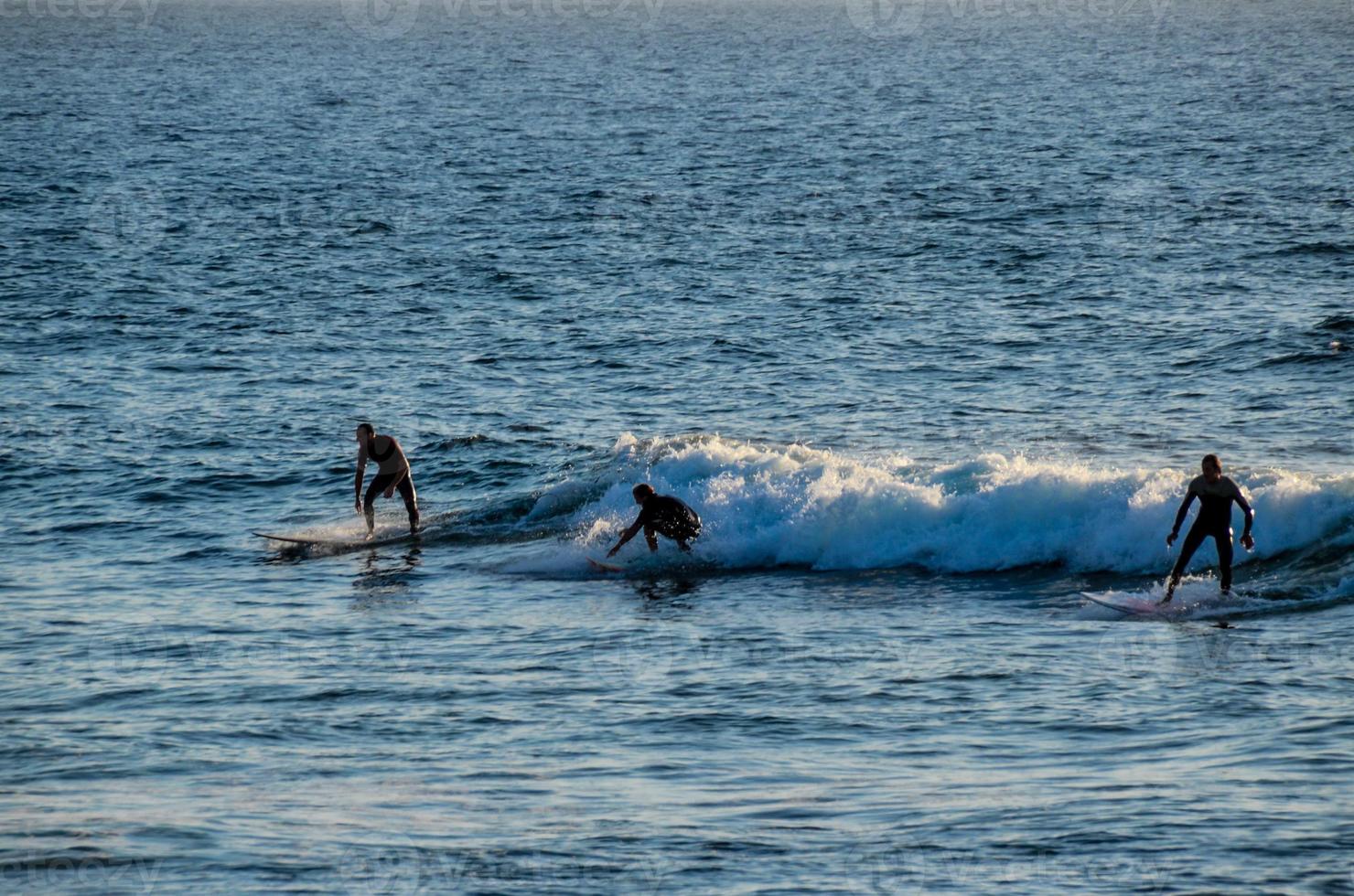 surfa i havet foto