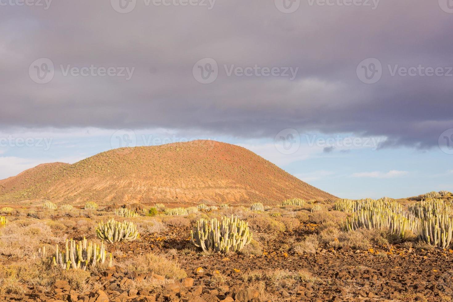 natursköna bergslandskap foto