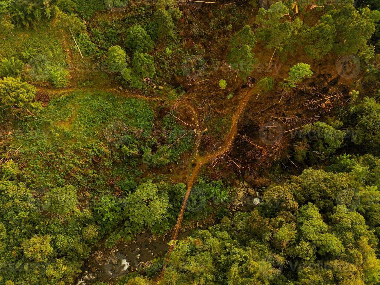 antenn se av grön ris terrasser i indonesien foto