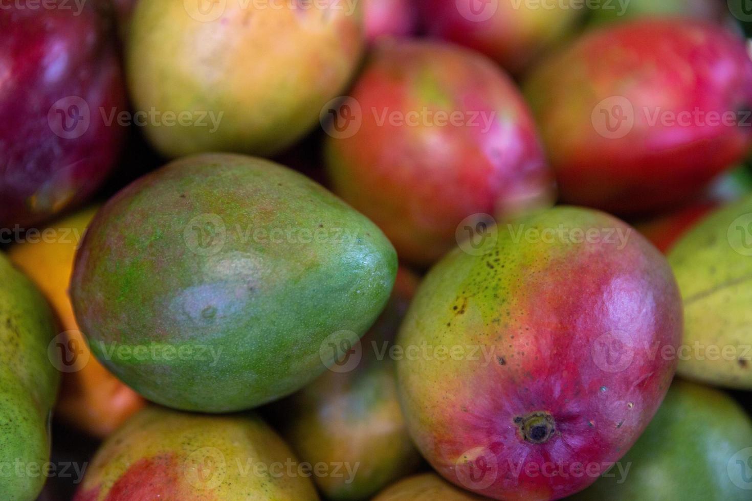 knippa av nästan mogen mango foto