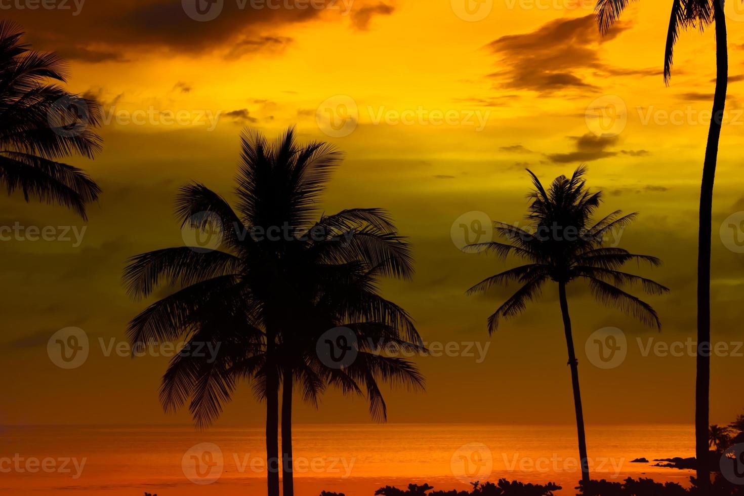silhuett av palmer vacker solnedgång på den tropiska havet strand bakgrunden för resor i semestern avslappningstid, foto