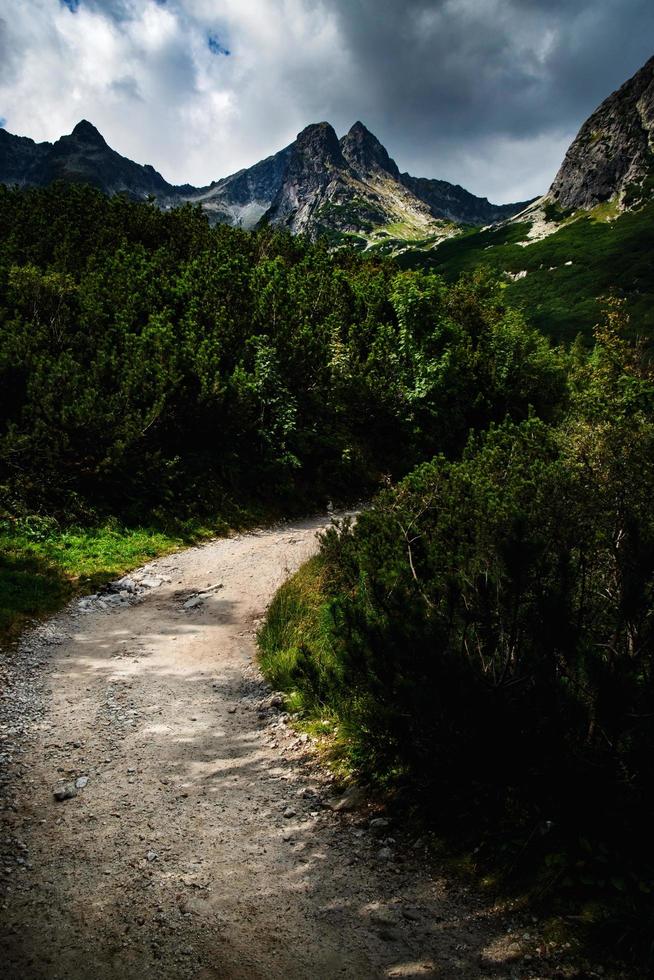 gångväg nära mörka berg foto