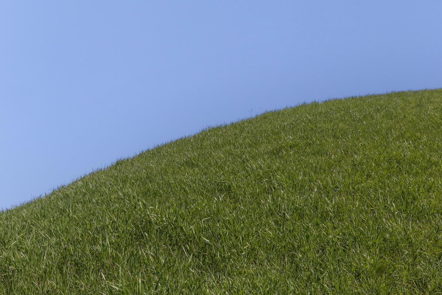 grön kulle mot klar blå himmel foto