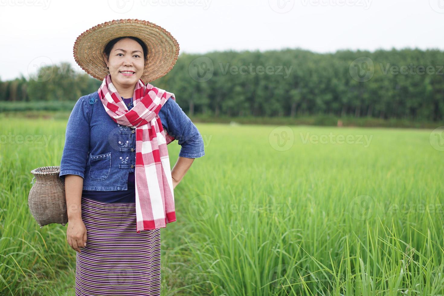 asiatisk kvinna jordbrukare är på irländare fält, bär hatt, blå skjorta och thai loincloth scarf, bära creel för förvaring fisk eller insekter. begrepp, lantlig långsam livsstil i thailand, tjäna levande från natur. foto