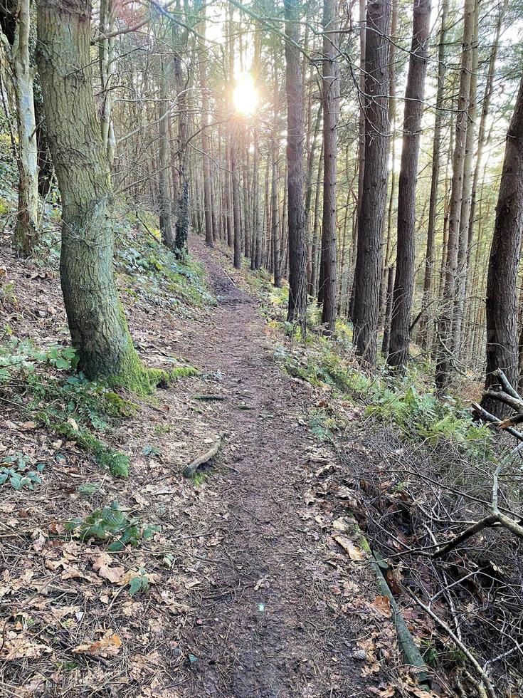 en se av de cheshire landsbygden på bickerton kullar foto