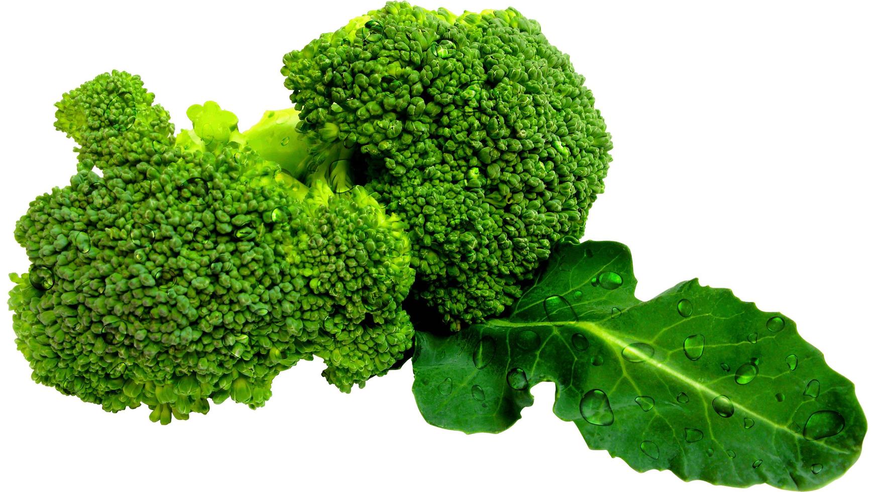 broccoli grön vegetabiliska på vit bakgrund med vatten droppar närbild makro horisontell fotografi foto