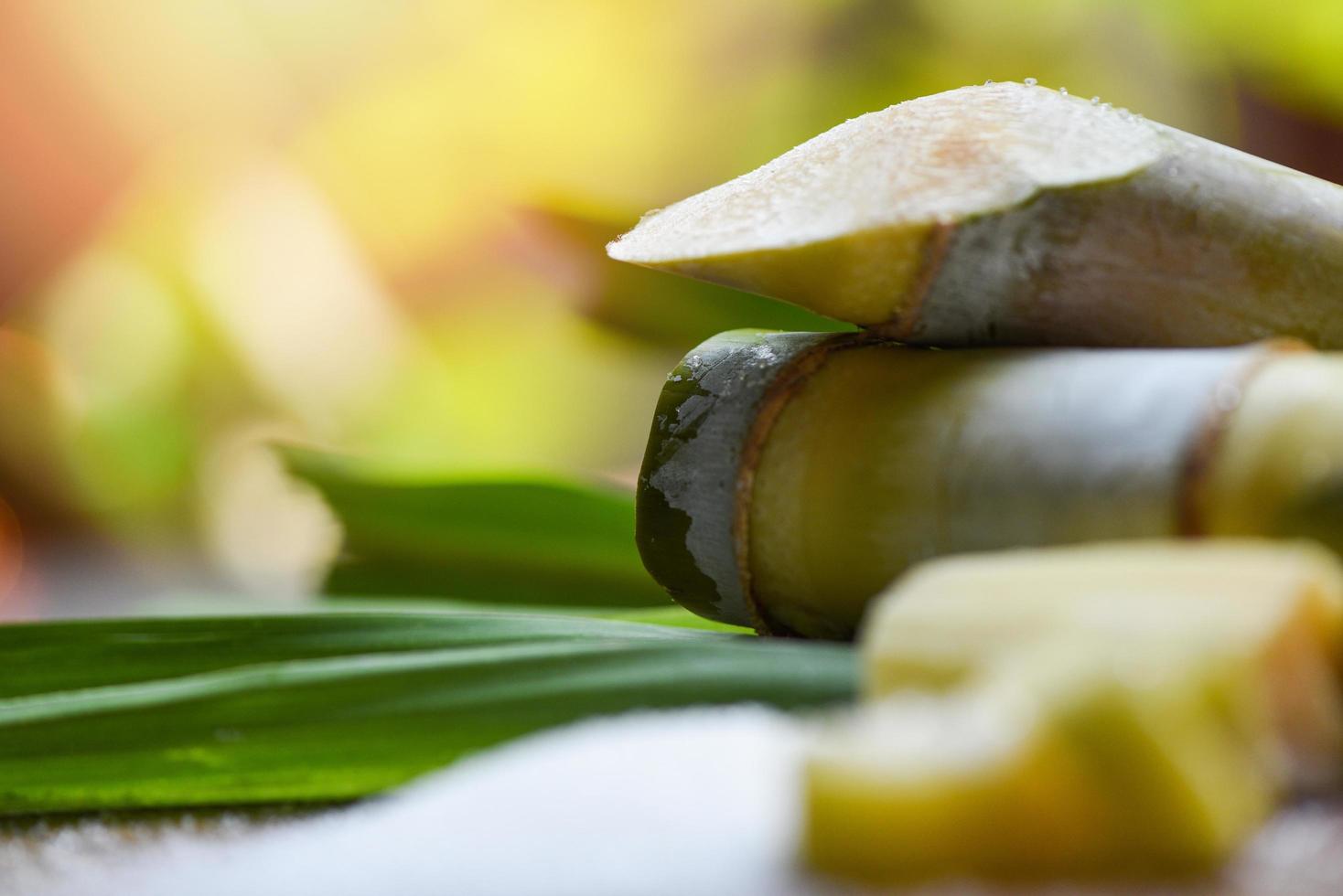 vit socker och socker sockerrör på trä- tabell och natur foto