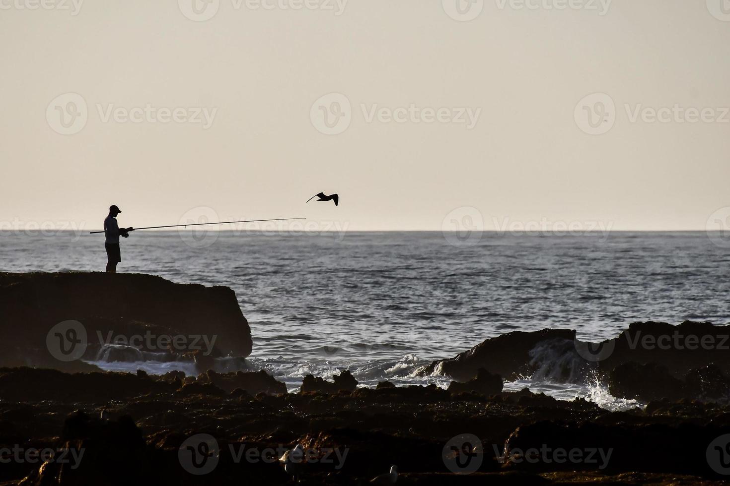 naturskön kust se foto