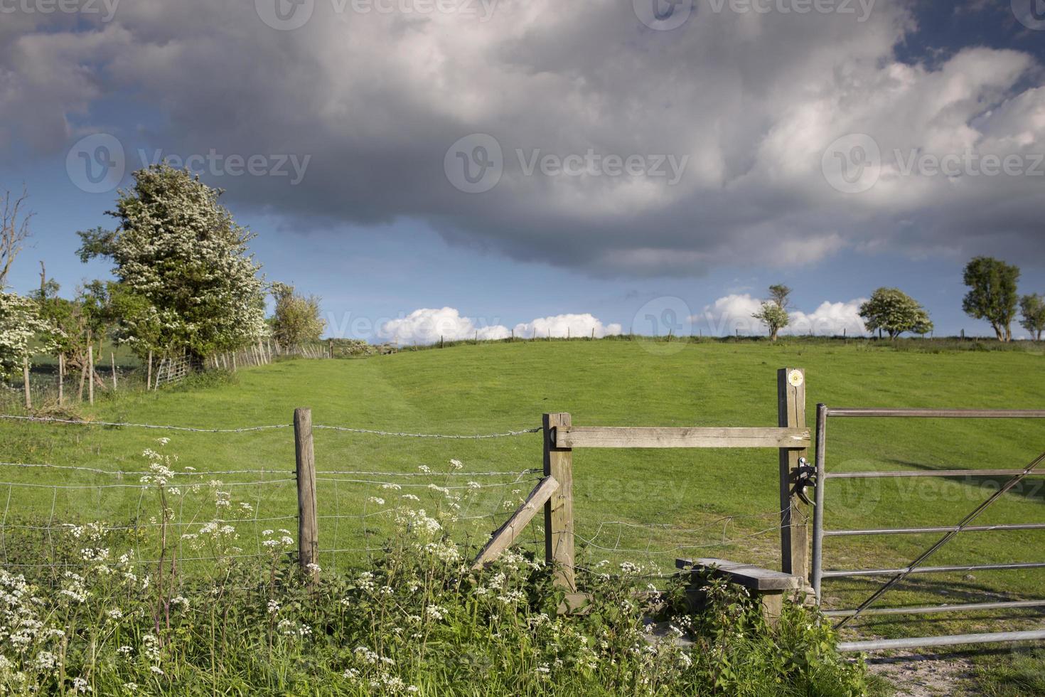 engelsk landsbygden i de chiltern dal foto