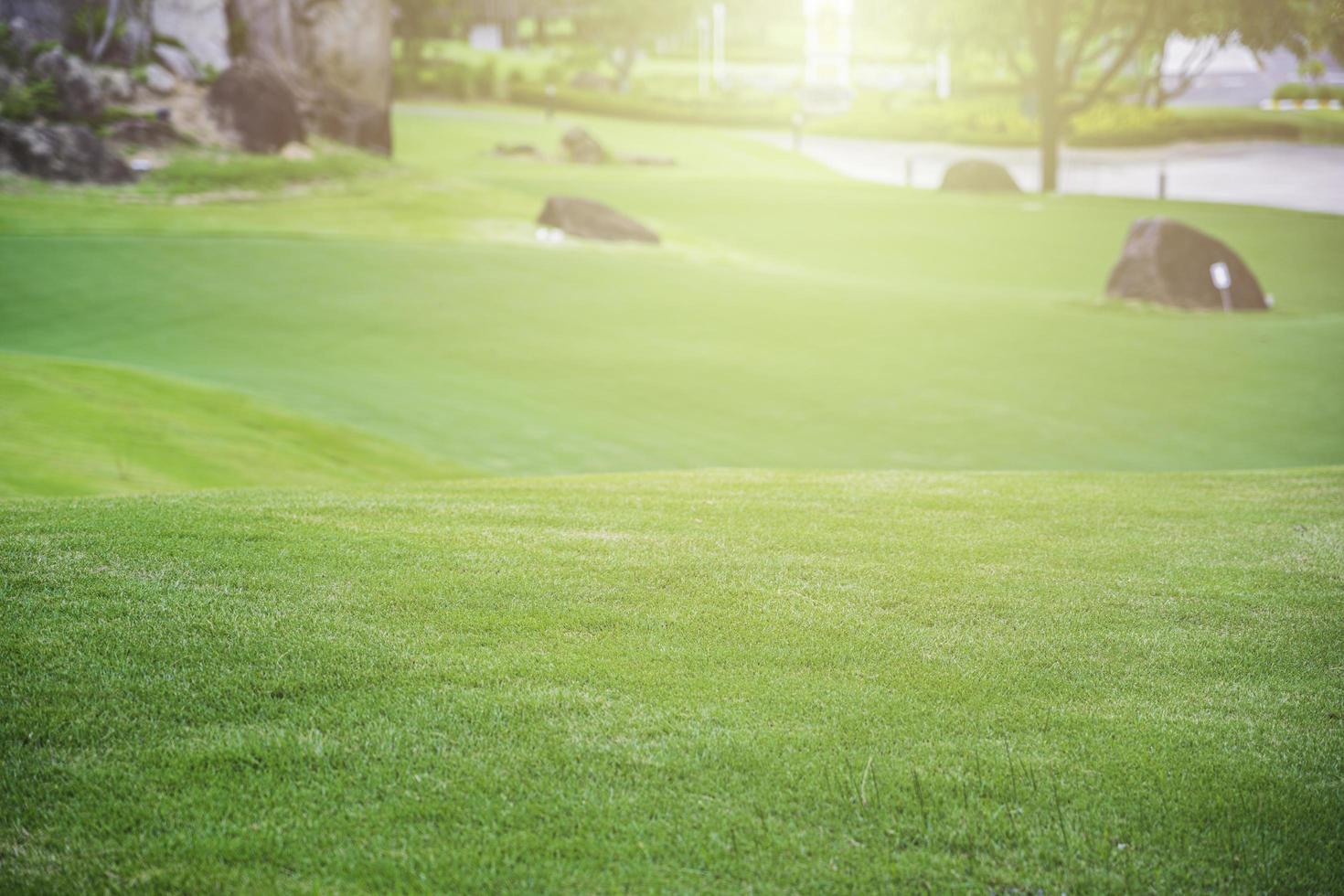 naturens gröna gräs i golfbana foto