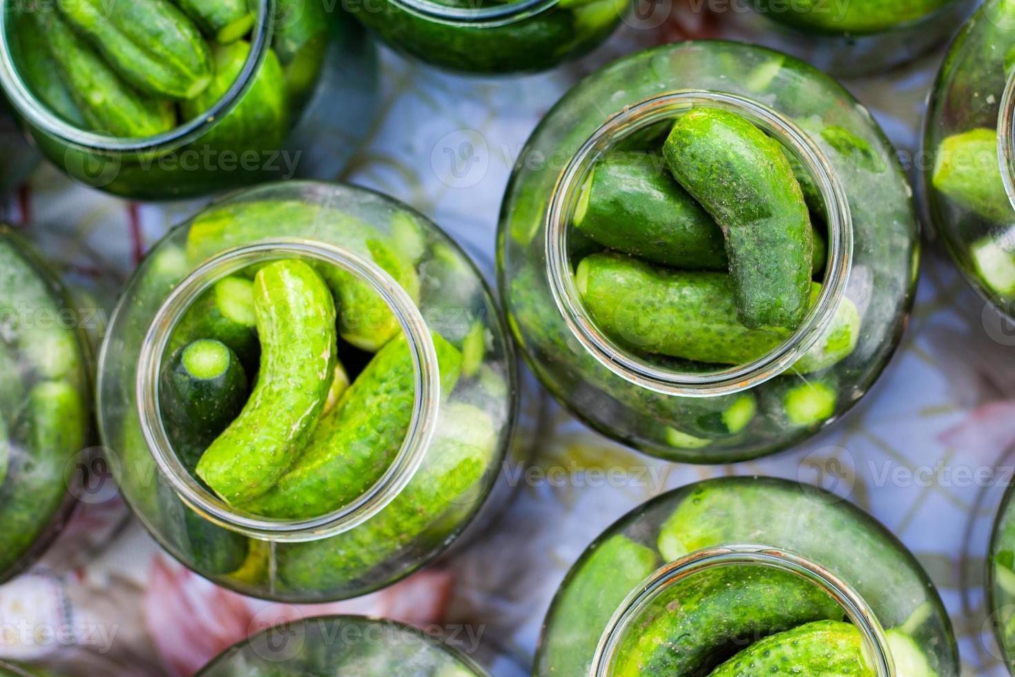 burkar med pickles foto