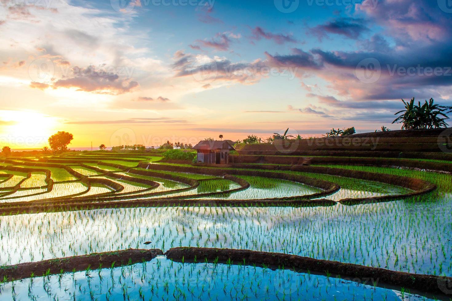 skön morgon- se Indonesien. panorama landskap irländare fält med skönhet Färg och himmel naturlig ljus foto