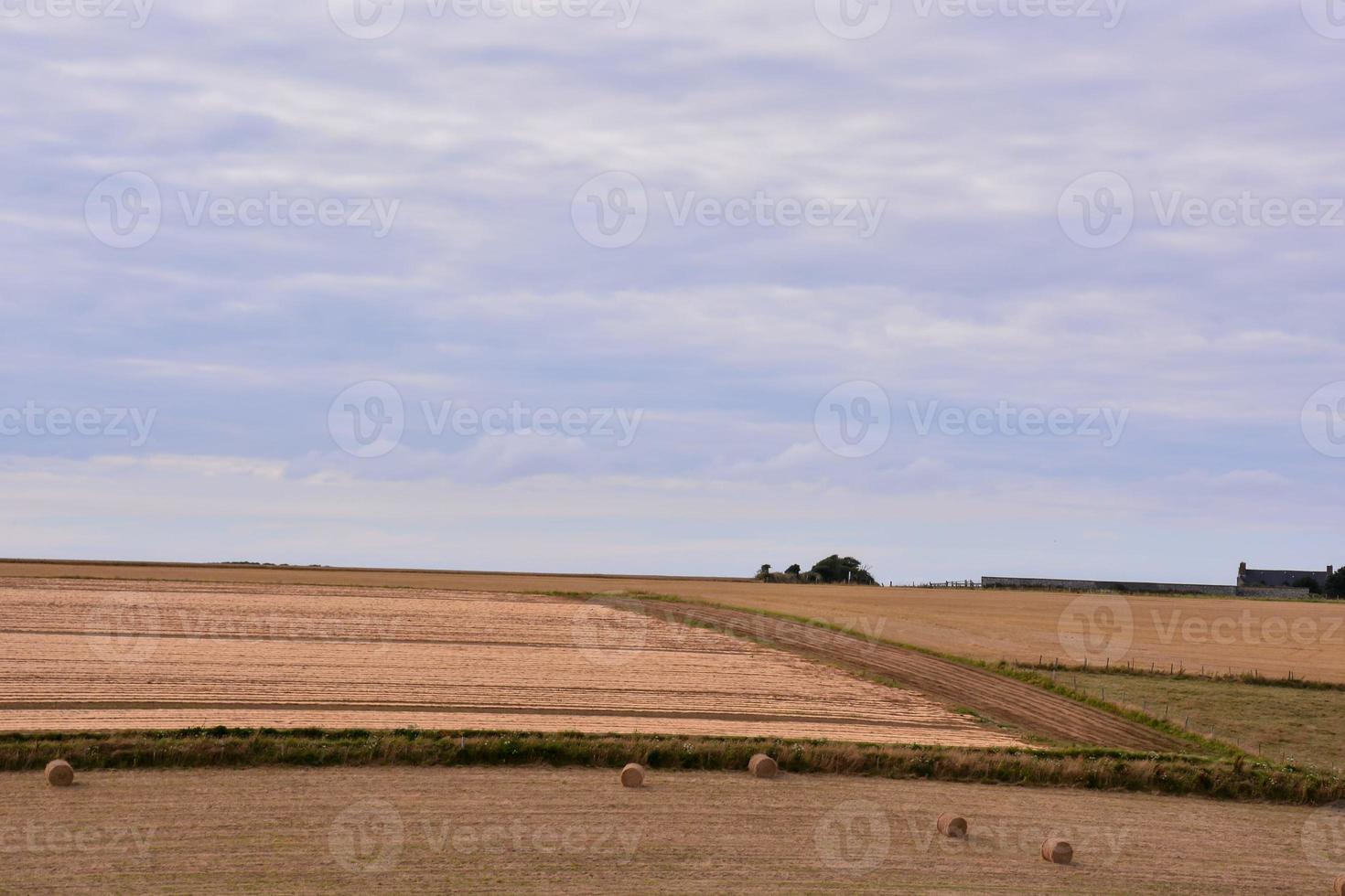 naturskön lantlig landskap foto