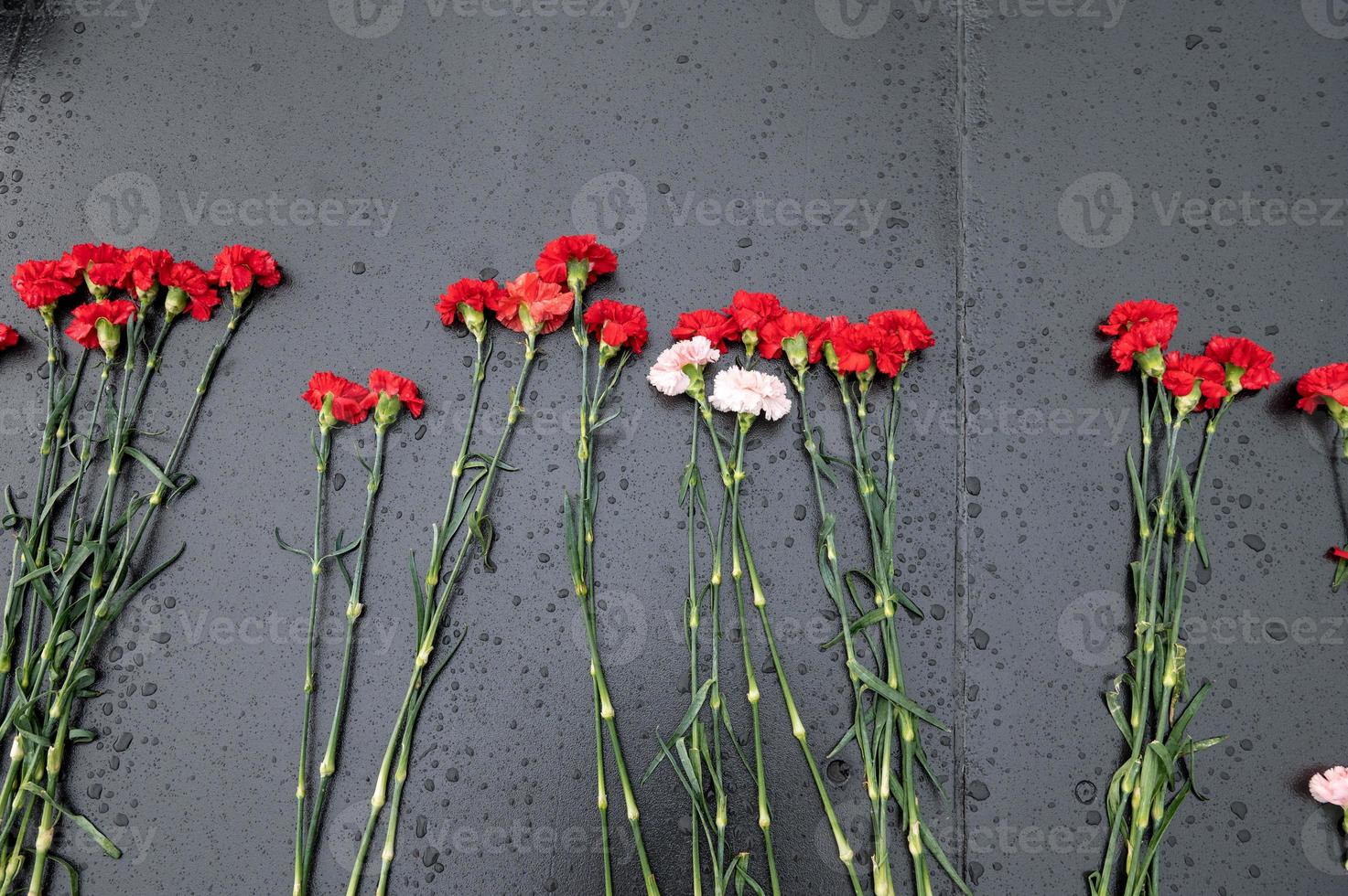 röd nejlika blommor är lagd på en marmor platta i de regn på solnedgång foto