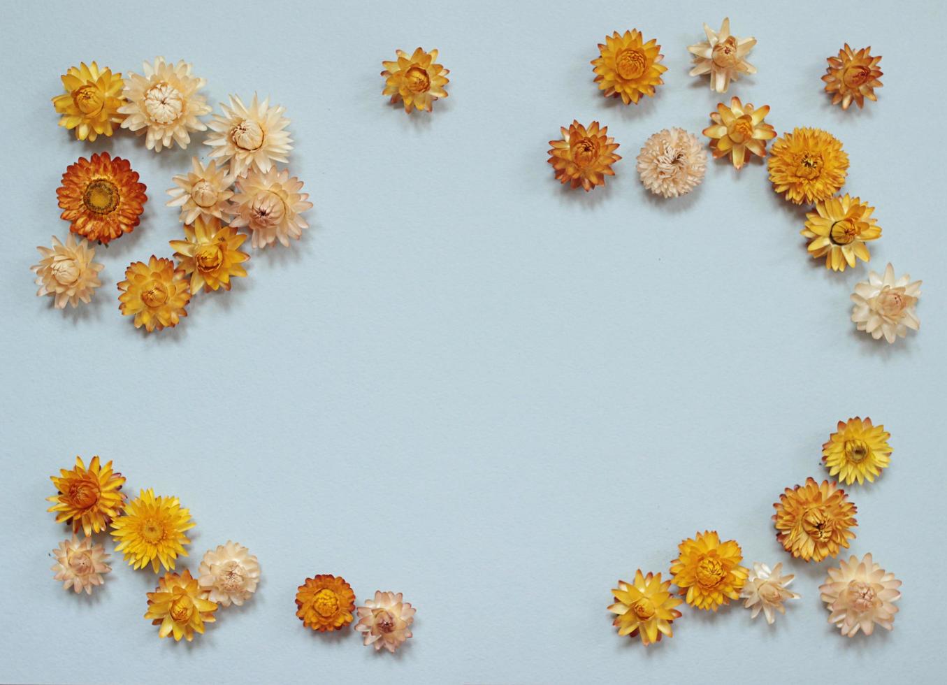 gul och orange volumetriska torkades blommor på en blå bakgrund. tömma Plats för text. blommig arrangemang för vykort foto