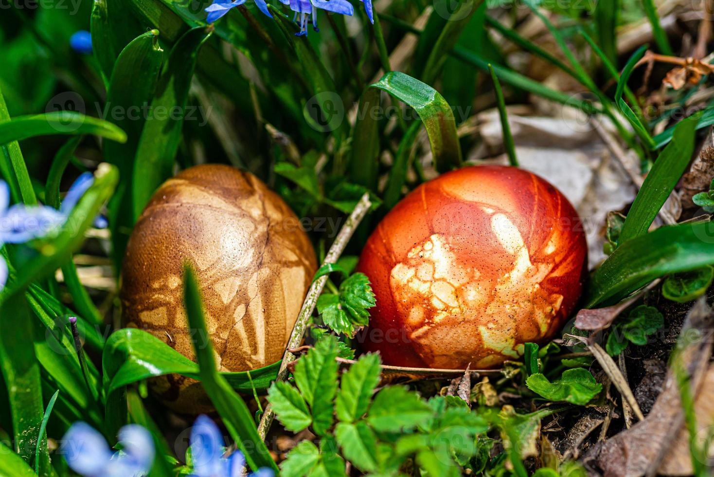 flerfärgade påskägg i grönt gräs foto