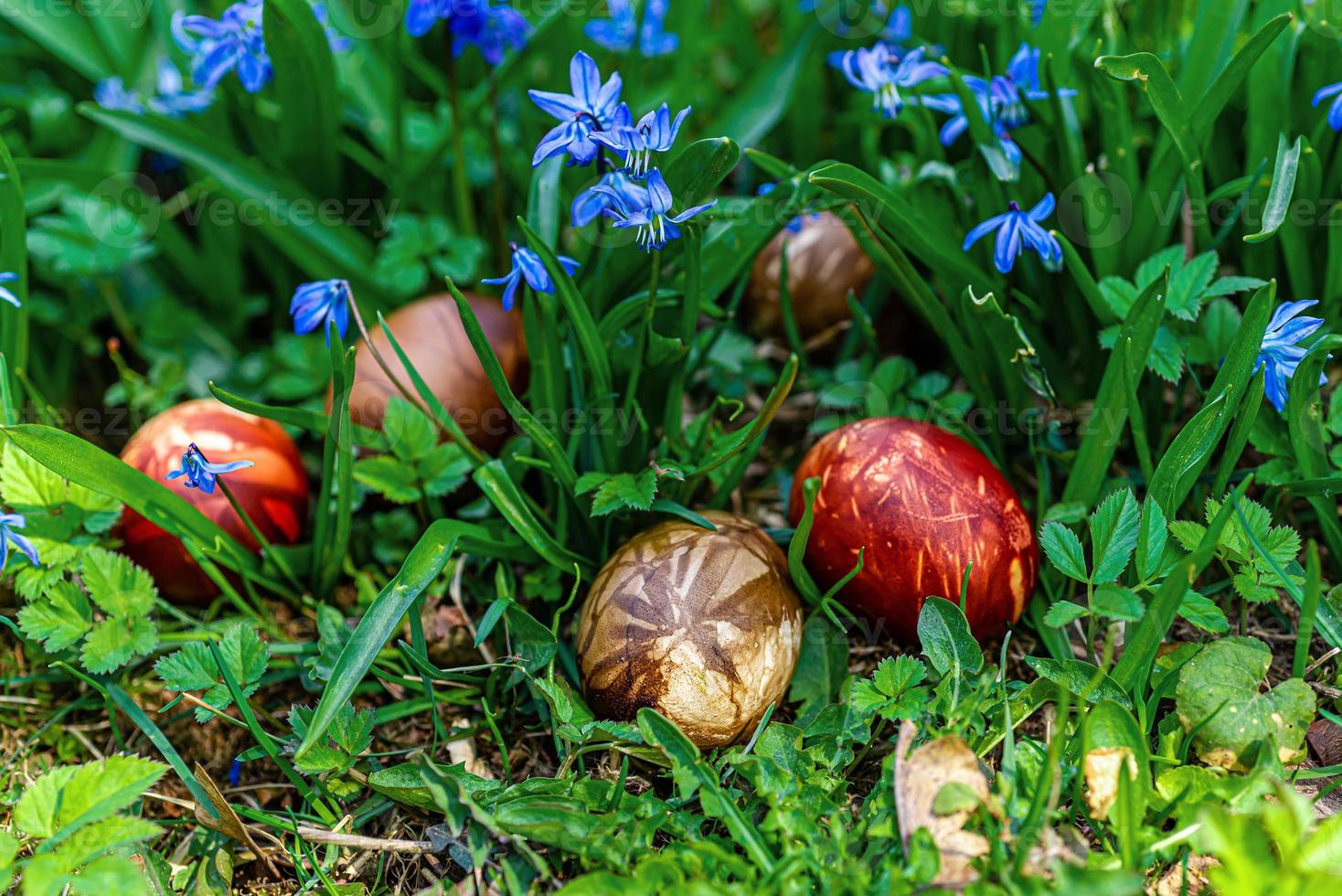 flerfärgade påskägg i grönt gräs foto