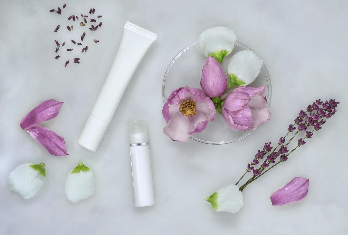 örtmedicin med magnolia blommor och lavendel, petriskålar, kosmetikrör och naturlig hudvård bakgrund foto