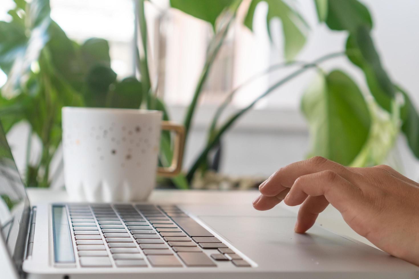 en hand som använder en bärbar dator som söker information på internet foto