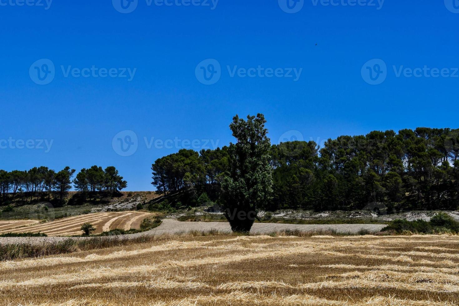 naturskön lantlig landskap foto