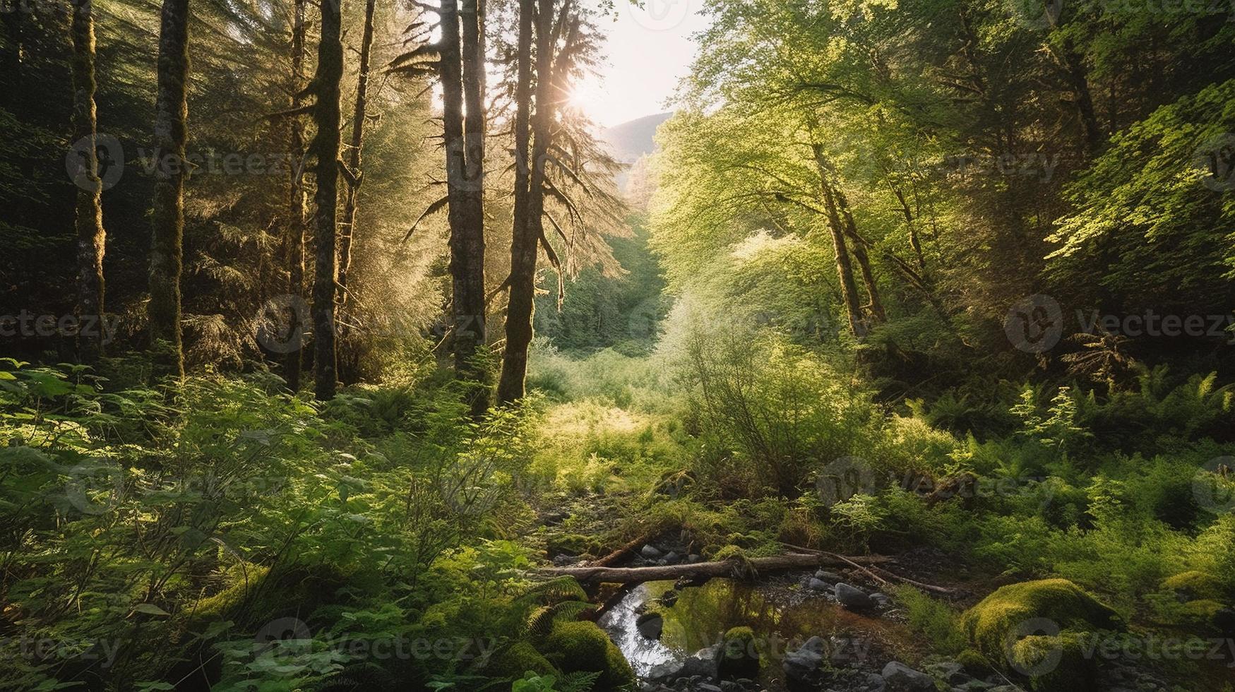 en fredlig skog clearing badade i värma solljus, omgiven förbi lång träd och frodig lövverk, med en mild ström sipprar genom de undervegetation och en avlägsen berg räckvidd synlig foto