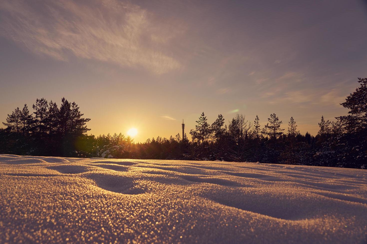 snö i förgrunden på en frostig vinterkväll vid solnedgången foto